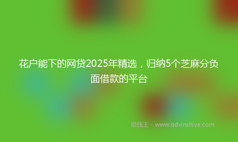 花户能下的网贷2025年精选，归纳5个芝麻分负面借款的平台