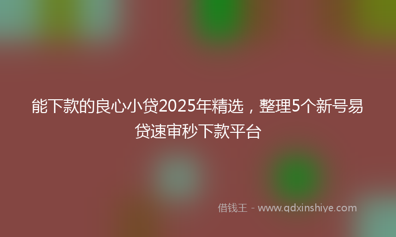 能下款的良心小贷2025年精选，整理5个新号易贷速审秒下款平台