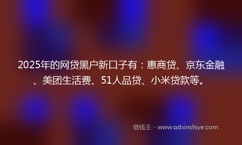 2025年的网贷黑户新口子有：惠商贷、京东金融、美团生活费、51人品贷、小米贷款等。