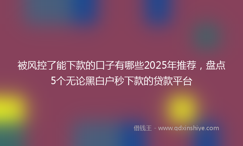 被风控了能下款的口子有哪些2025年推荐，盘点5个无论黑白户秒下款的贷款平台