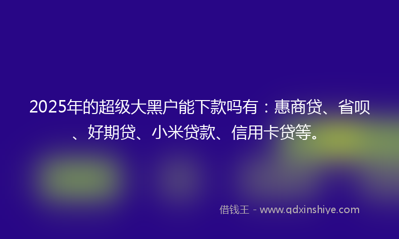 2025年的超级大黑户能下款吗有：惠商贷、省呗、好期贷、小米贷款、信用卡贷等。