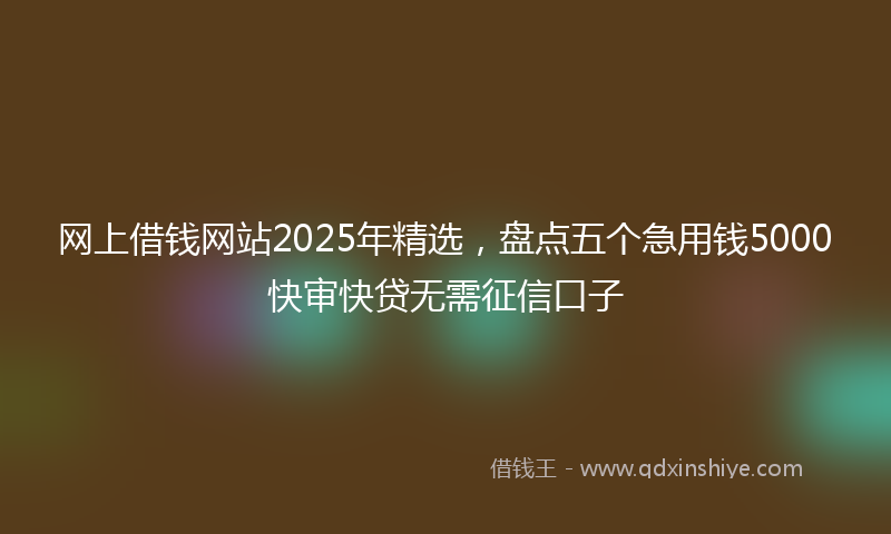 网上借钱网站2025年精选，盘点五个急用钱5000快审快贷无需征信口子