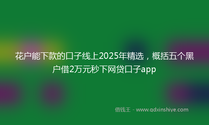 花户能下款的口子线上2025年精选，概括五个黑户借2万元秒下网贷口子app