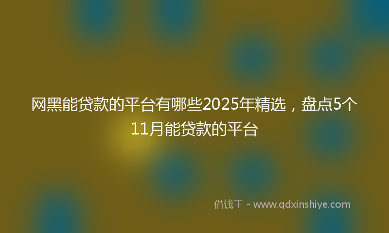 网黑能贷款的平台有哪些2025年精选，盘点5个11月能贷款的平台