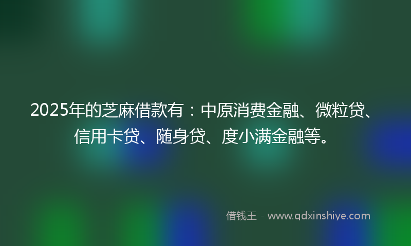 2025年的芝麻借款有：中原消费金融、微粒贷、信用卡贷、随身贷、度小满金融等。