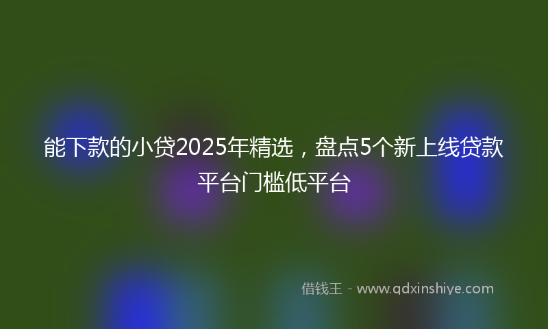 能下款的小贷2025年精选，盘点5个新上线贷款平台门槛低平台