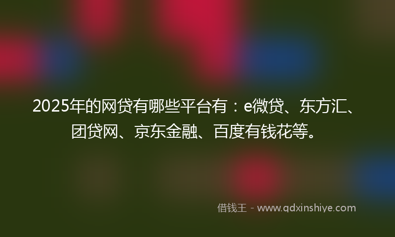 2025年的网贷有哪些平台有：e微贷、东方汇、团贷网、京东金融、百度有钱花等。
