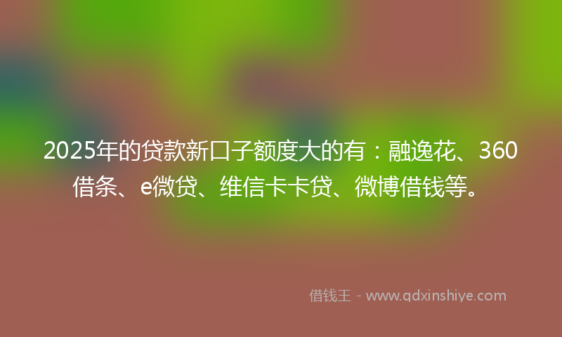 2025年的贷款新口子额度大的有：融逸花、360借条、e微贷、维信卡卡贷、微博借钱等。