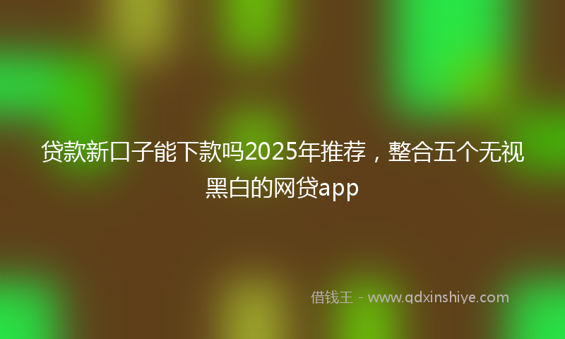 贷款新口子能下款吗2025年推荐，整合五个无视黑白的网贷app