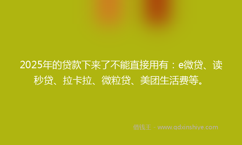 2025年的贷款下来了不能直接用有：e微贷、读秒贷、拉卡拉、微粒贷、美团生活费等。