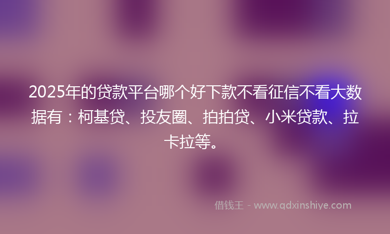 2025年的贷款平台哪个好下款不看征信不看大数据有：柯基贷、投友圈、拍拍贷、小米贷款、拉卡拉等。