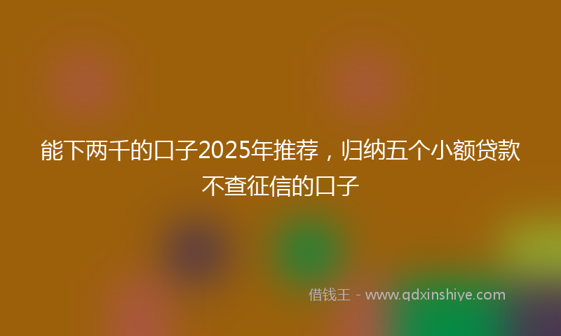 能下两千的口子2025年推荐，归纳五个小额贷款不查征信的口子
