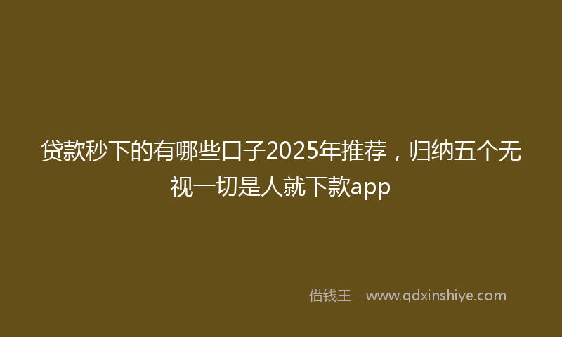 贷款秒下的有哪些口子2025年推荐，归纳五个无视一切是人就下款app