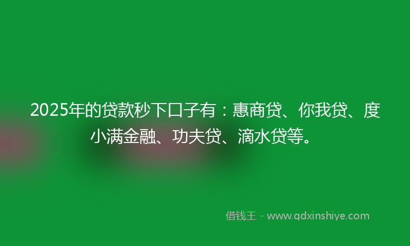 2025年的贷款秒下口子有：惠商贷、你我贷、度小满金融、功夫贷、滴水贷等。
