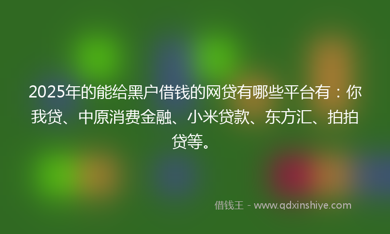 2025年的能给黑户借钱的网贷有哪些平台有：你我贷、中原消费金融、小米贷款、东方汇、拍拍贷等。