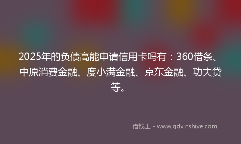 2025年的负债高能申请信用卡吗有：360借条、中原消费金融、度小满金融、京东金融、功夫贷等。