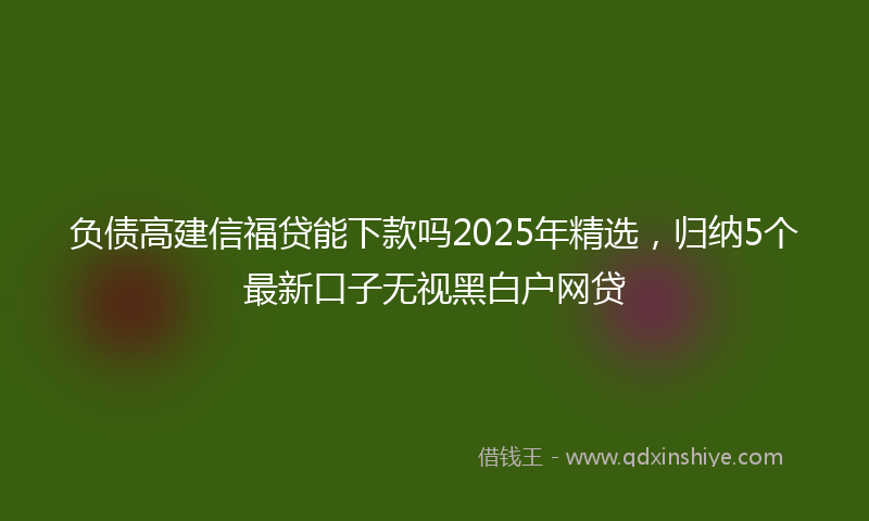 负债高建信福贷能下款吗2025年精选，归纳5个最新口子无视黑白户网贷