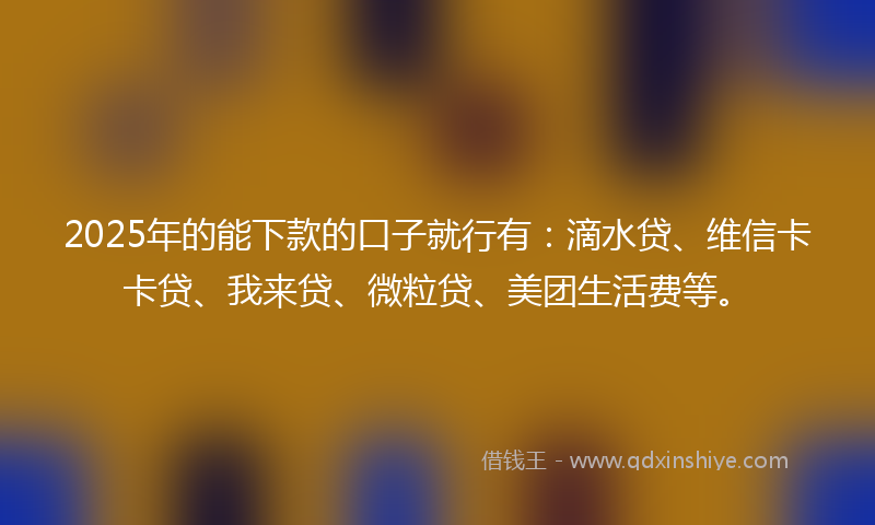 2025年的能下款的口子就行有：滴水贷、维信卡卡贷、我来贷、微粒贷、美团生活费等。