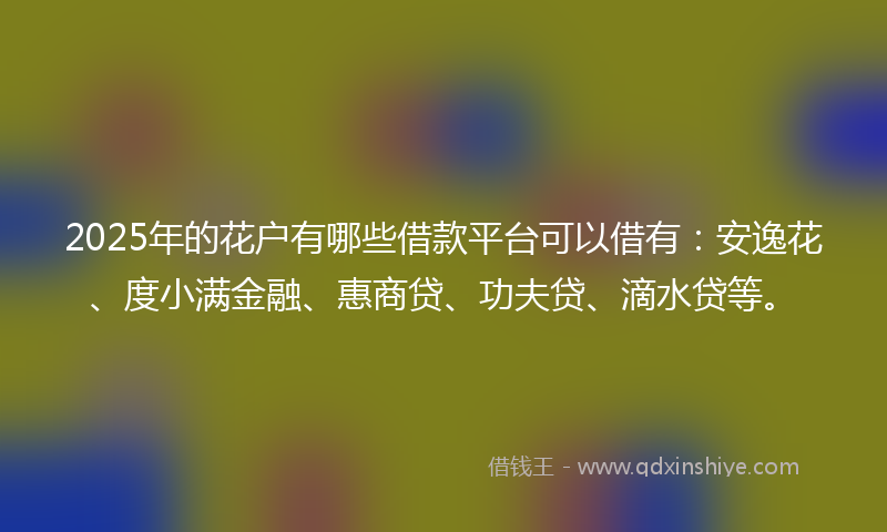 2025年的花户有哪些借款平台可以借有：安逸花、度小满金融、惠商贷、功夫贷、滴水贷等。