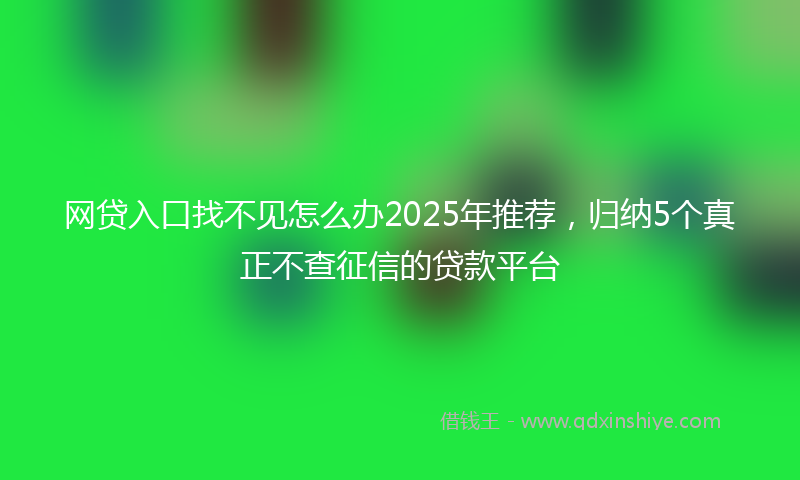 网贷入口找不见怎么办2025年推荐，归纳5个真正不查征信的贷款平台