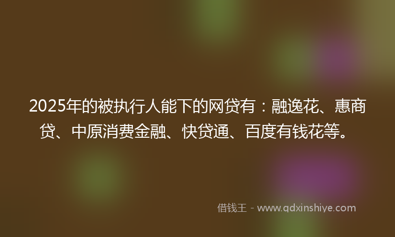 2025年的被执行人能下的网贷有：融逸花、惠商贷、中原消费金融、快贷通、百度有钱花等。
