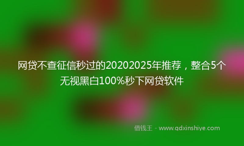 网贷不查征信秒过的20202025年推荐，整合5个无视黑白100%秒下网贷软件