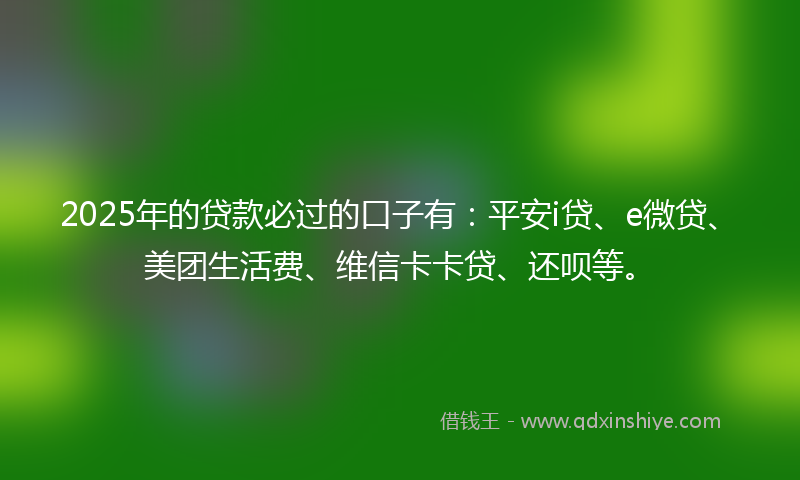 2025年的贷款必过的口子有：平安i贷、e微贷、美团生活费、维信卡卡贷、还呗等。