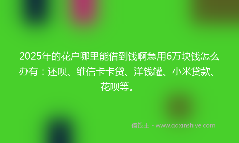 2025年的花户哪里能借到钱啊急用6万块钱怎么办有：还呗、维信卡卡贷、洋钱罐、小米贷款、花呗等。