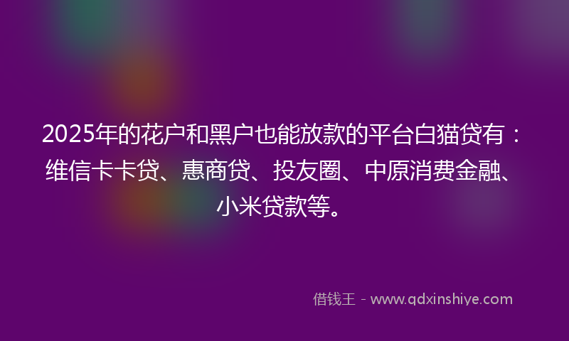 2025年的花户和黑户也能放款的平台白猫贷有：维信卡卡贷、惠商贷、投友圈、中原消费金融、小米贷款等。
