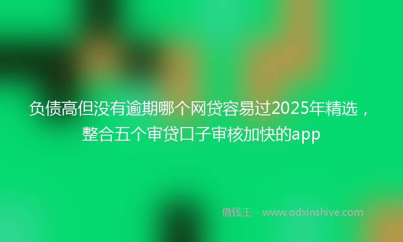 负债高但没有逾期哪个网贷容易过2025年精选，整合五个审贷口子审核加快的app