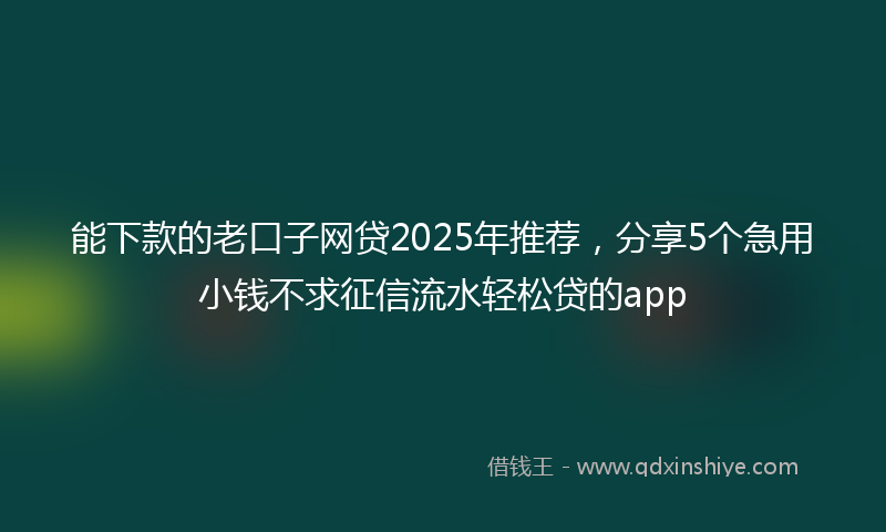 能下款的老口子网贷2025年推荐，分享5个急用小钱不求征信流水轻松贷的app