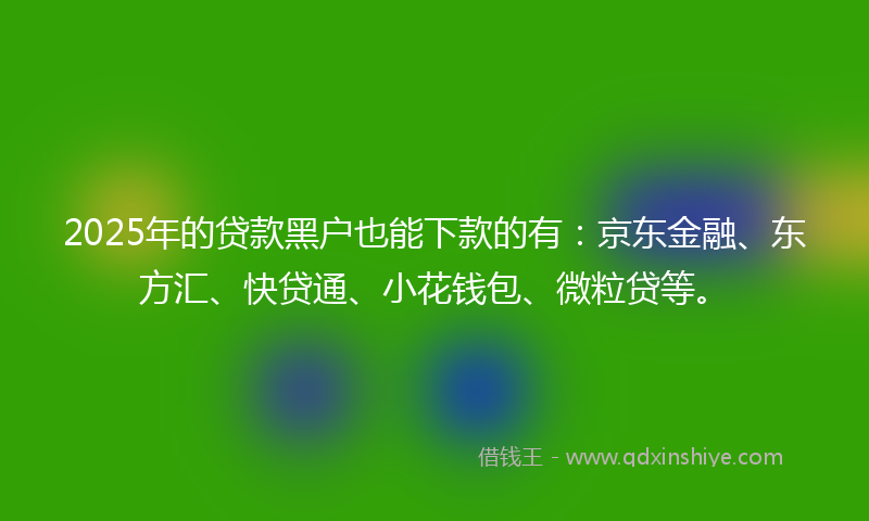 2025年的贷款黑户也能下款的有：京东金融、东方汇、快贷通、小花钱包、微粒贷等。