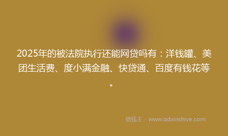 2025年的被法院执行还能网贷吗有：洋钱罐、美团生活费、度小满金融、快贷通、百度有钱花等。