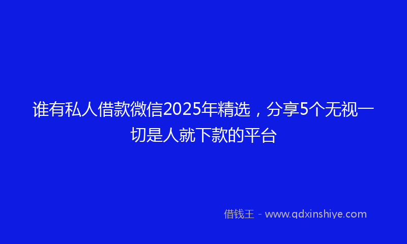谁有私人借款微信2025年精选，分享5个无视一切是人就下款的平台