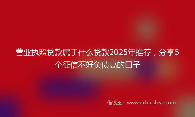 营业执照贷款属于什么贷款2025年推荐，分享5个征信不好负债高的口子