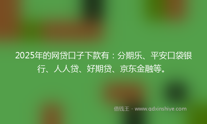 2025年的网贷口子下款有：分期乐、平安口袋银行、人人贷、好期贷、京东金融等。