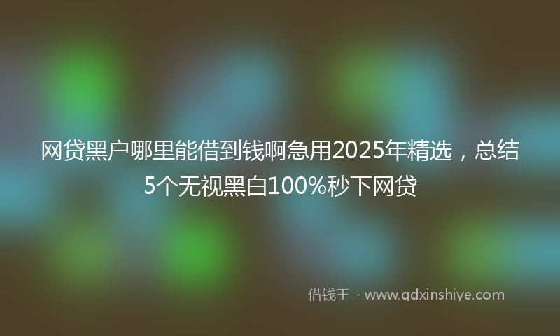 网贷黑户哪里能借到钱啊急用2025年精选，总结5个无视黑白100%秒下网贷