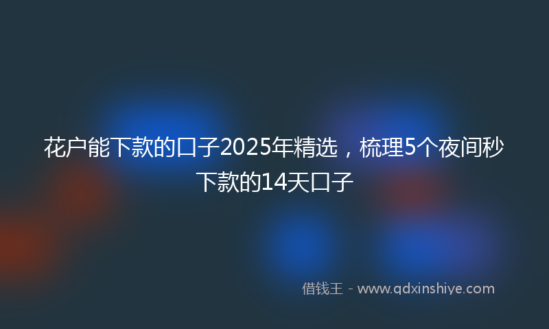 花户能下款的口子2025年精选，梳理5个夜间秒下款的14天口子