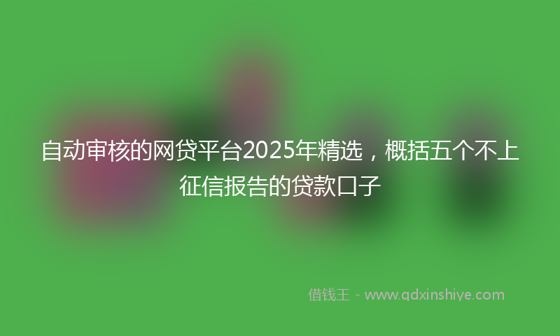 自动审核的网贷平台2025年精选，概括五个不上征信报告的贷款口子