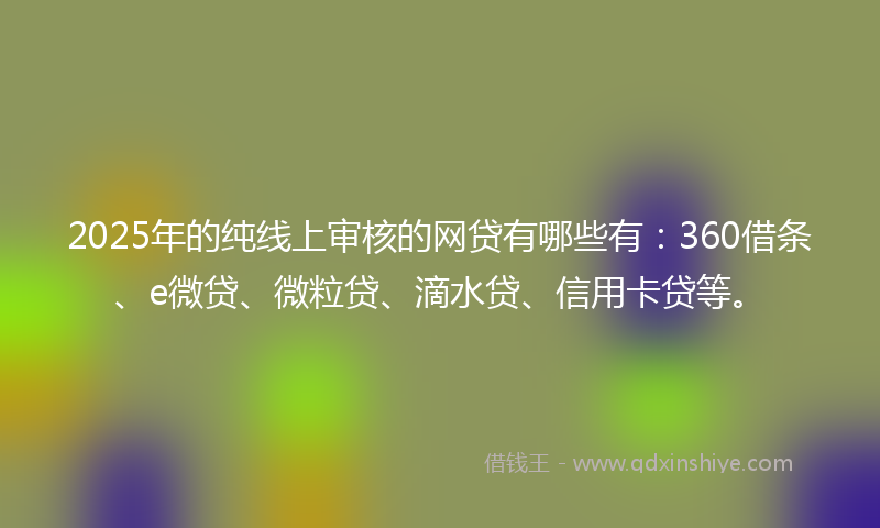 2025年的纯线上审核的网贷有哪些有：360借条、e微贷、微粒贷、滴水贷、信用卡贷等。