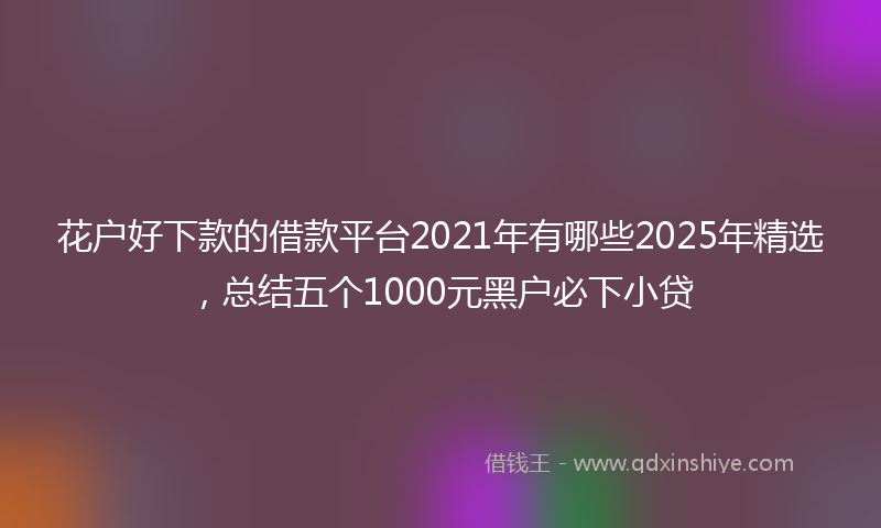花户好下款的借款平台2021年有哪些2025年精选，总结五个1000元黑户必下小贷