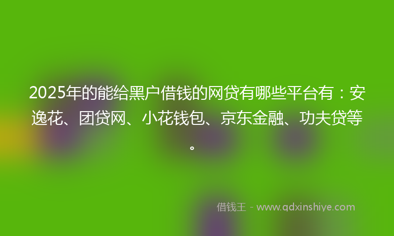 2025年的能给黑户借钱的网贷有哪些平台有：安逸花、团贷网、小花钱包、京东金融、功夫贷等。
