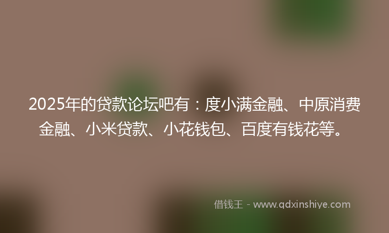 2025年的贷款论坛吧有：度小满金融、中原消费金融、小米贷款、小花钱包、百度有钱花等。