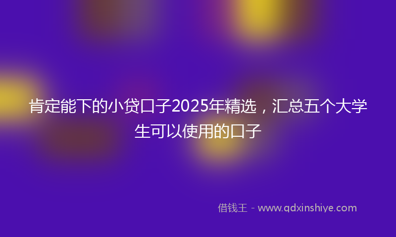 肯定能下的小贷口子2025年精选，汇总五个大学生可以使用的口子