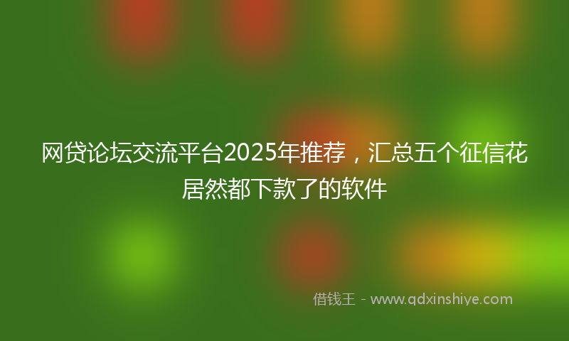 网贷论坛交流平台2025年推荐，汇总五个征信花居然都下款了的软件