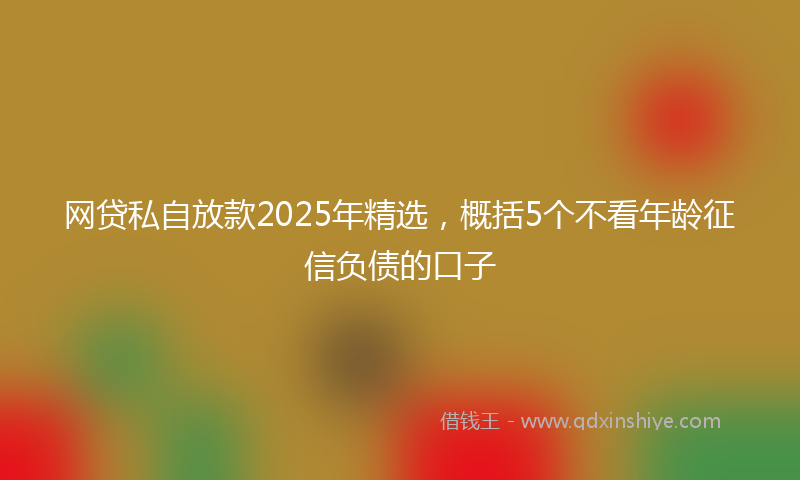 网贷私自放款2025年精选，概括5个不看年龄征信负债的口子