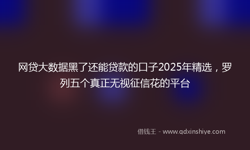 网贷大数据黑了还能贷款的口子2025年精选，罗列五个真正无视征信花的平台