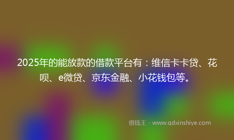2025年的能放款的借款平台有:维信卡卡贷、花呗、e微贷、京东金融、小花钱包等。