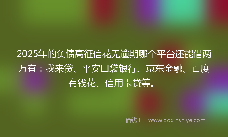 2025年的负债高征信花无逾期哪个平台还能借两万有：我来贷、平安口袋银行、京东金融、百度有钱花、信用卡贷等。