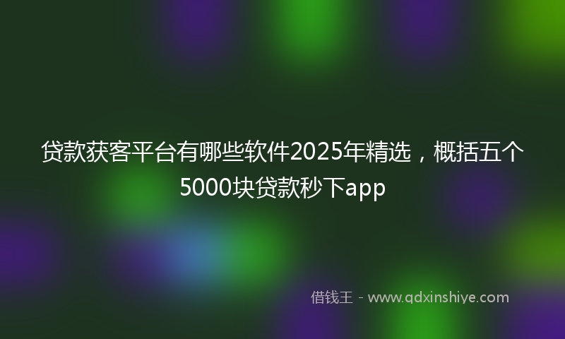 贷款获客平台有哪些软件2025年精选，概括五个5000块贷款秒下app